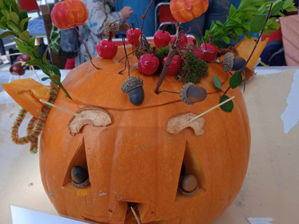 384557558_337648952162575_270735184450866766_n