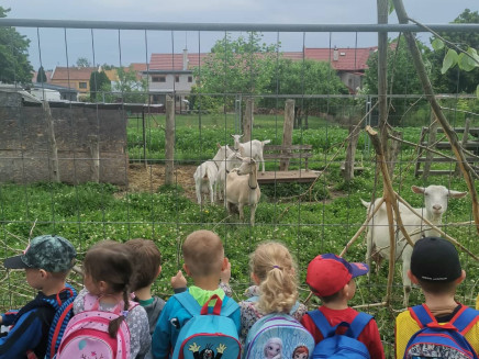 287239127_555937299244296_7479051687485612166_n