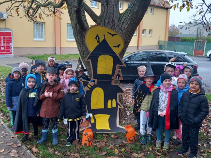 312838983_453912040216738_290494290211874418_n