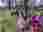 e6dd7bc9-9284-452f-b27f-7797eeff69f7