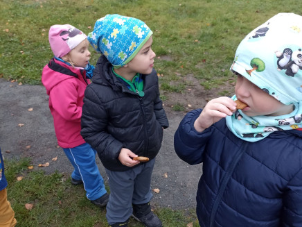 315148025_5222063977900108_7778273903101870165_n