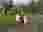 315418721_1611506836028526_6690456842914747800_n