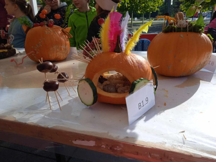 386875503_223619803811832_7242976636830330708_n