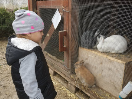 280101806_425537396241077_8356474217894492891_n