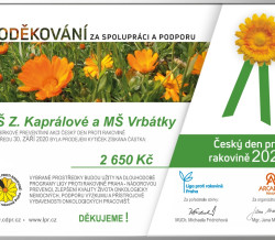 Den proti rakovině 2020