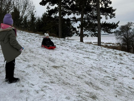 01d94fd341def6a9b9d0609db6e6baea