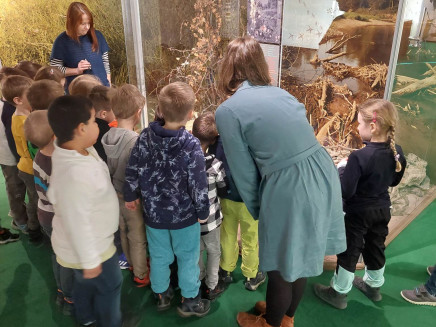 339910042_1915477808800320_6579314544117379576_n