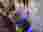 0c819ca4-7ae5-4229-bc51-928452251c3b