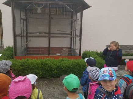 287401939_442928873853202_4080830674016468594_n