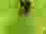 396661651_3622611378005531_4665389140192697713_n