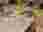 309243093_905539184164314_5596779611975698926_n