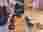 a32e1c73-374a-4f24-8fff-4882c249d2c0