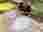 370332205_3530772300572070_919431422983073267_n
