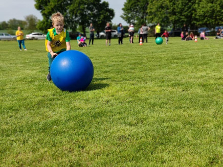 350097983_649544503681756_6625690649139602707_n