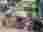 373080633_251213590649623_1266301523148502603_n
