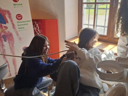 36f53ebf-e7e7-4cff-a135-68ebfe7b30ae