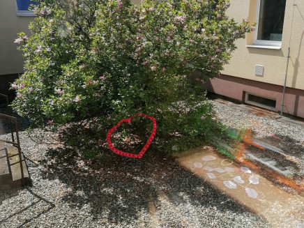 346104121_965674474674447_6018910683027984555_n