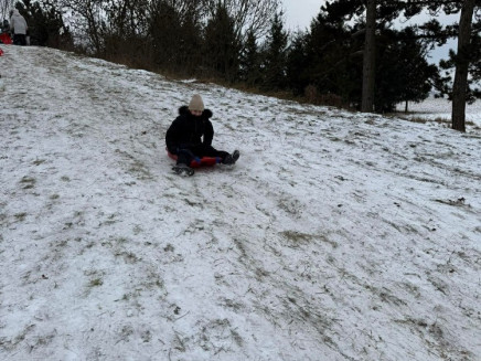 8b8c0fdb41c0f4e29af01389f49a44c2