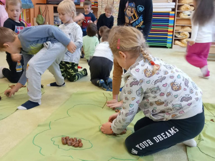 313379150_426807206296169_1977157716327006257_n