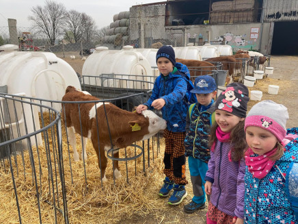 279028647_550228169786672_8704590582617343790_n