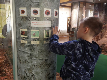 339612036_1301863030457112_3346873947896861097_n