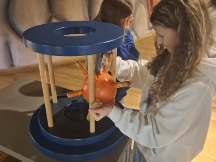 58491b2f-874a-4f13-a37d-6ae277b022bf