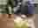 2d11e5dc-d925-45b7-a60b-0ef9d3195e69