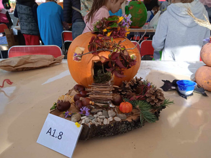 385490678_230056883396054_8509765329227098059_n