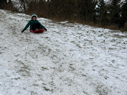 1911126fc7864f78acc2bdde120d16f0