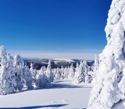 Prázdninové toulky