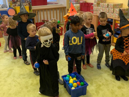 313993319_490066132897041_2701485883915065591_n