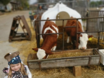 280315125_473479824573835_3488550247515776325_n