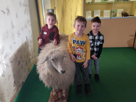 340838001_924786895392776_2155196603092532187_n