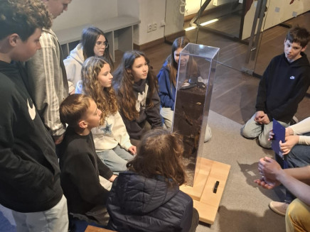 3ebb5cfb-5bce-49eb-8bc9-dc72317eff3c