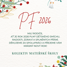 Green And Red Simple Christmas Eve Party Poster