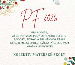 Green And Red Simple Christmas Eve Party Poster