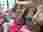 4fbcefb1-b718-4022-922b-7bd9416407d6