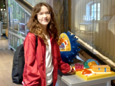 2ccdb686-e9d3-4858-9e86-9af3ccafb963