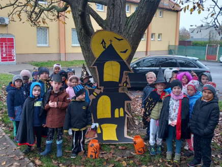 312559391_1238151386750117_2592684157307858732_n