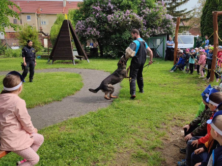 346151936_232021229452700_3637780174498703584_n