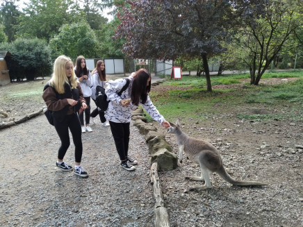 306956428_1486190005160449_8249318248231215429_n