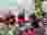 f63e54d5-1f82-4889-916b-58a9a86fa868
