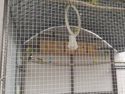 286955117_742393246959047_7497703854122640314_n