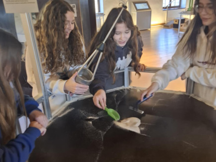 4472f6cb-4835-45bd-9b1b-3ba1e7f04852