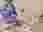 398259386_232879502913630_7610009287523946898_n
